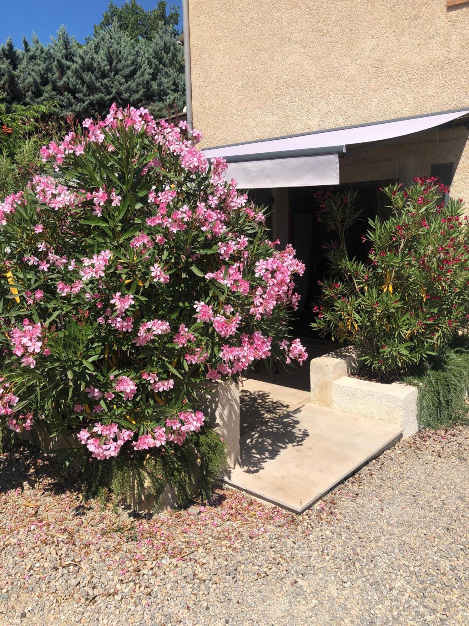 Apartament Le Cocon De Provence Fayence Zewnętrze zdjęcie